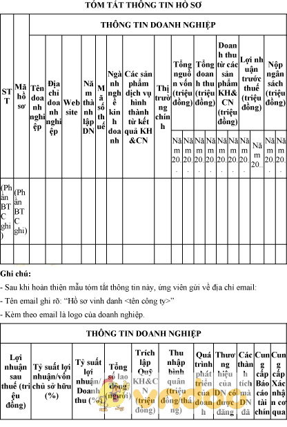 Mẫu tóm tắt thông tin hồ sơ doanh nghiệp