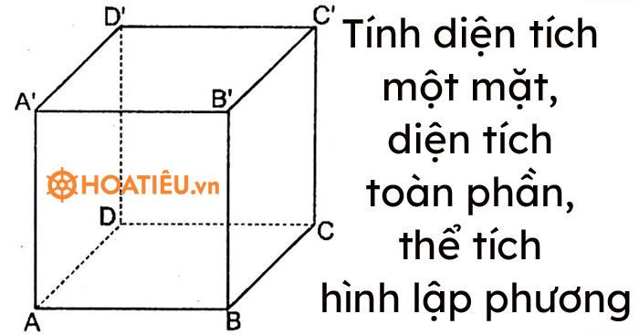 Một hình lập phương có cạnh 2,5cm. Tính diện tích một mặt, diện tích toàn phần