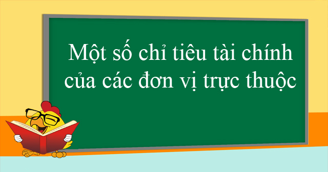 Một số chỉ tiêu tài chính của các đơn vị trực thuộc