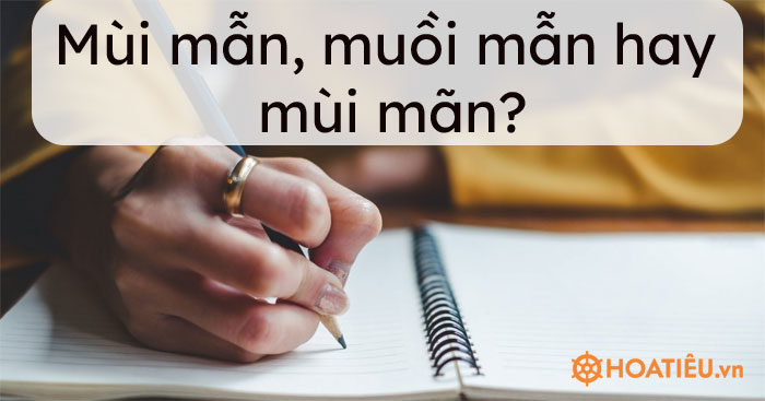 Mùi mẫn, muồi mẫn hay mùi mãn, từ nào đúng chính tả?