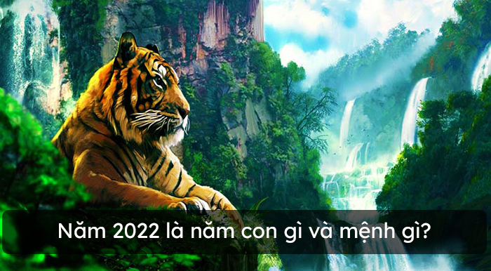 Năm 2022 là năm con gì và mệnh gì?