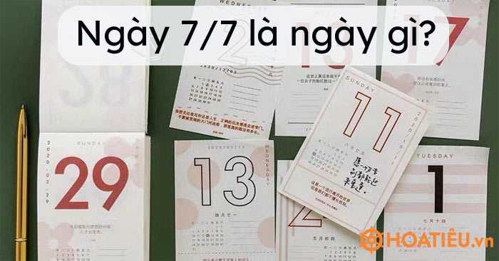 Ngày 7/7 là ngày gì?