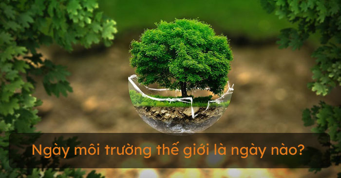 Ngày môi trường thế giới là ngày nào?