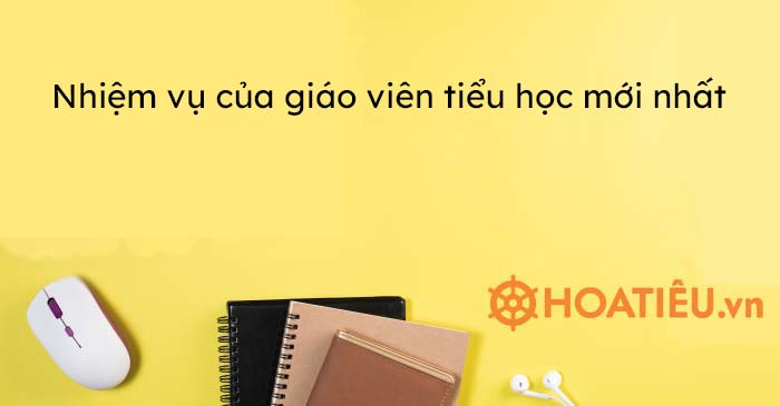 Nhiệm vụ của giáo viên tiểu học mới nhất