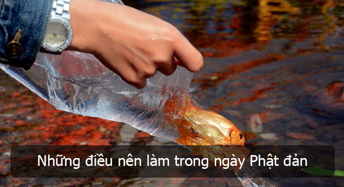 Những điều nên làm trong ngày Phật đản