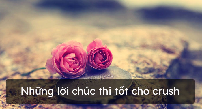 Những lời chúc thi tốt cho người yêu