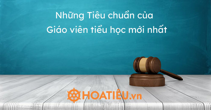 Những Tiêu chuẩn của người Giáo viên tiểu học mới nhất