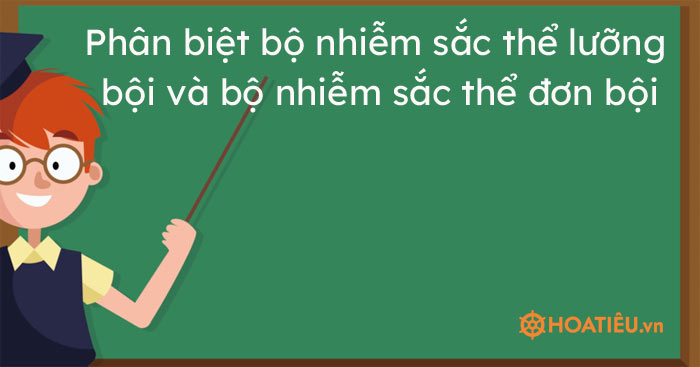 Phân biệt bộ nhiễm sắc thể lưỡng bội và bộ nhiễm sắc thể đơn bội