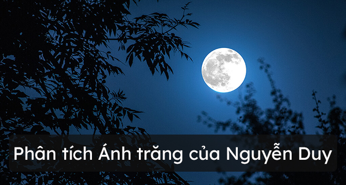 Top 9 mẫu phân tích bài thơ Ánh trăng siêu hay