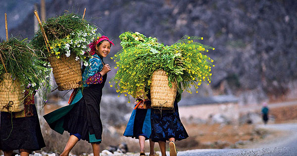 Phiếu đăng ký tham dự cuộc thi Ảnh di sản Việt Nam 2017