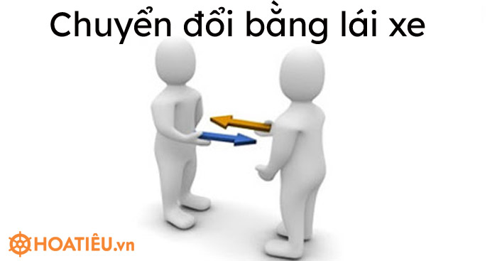 Quy định hạ bằng lái xe