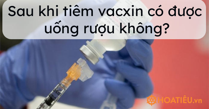 Sau khi tiêm vacxin có được uống rượu không?