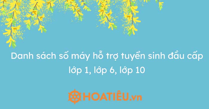 Số điện thoại hỗ trợ tuyển sinh đầu cấp