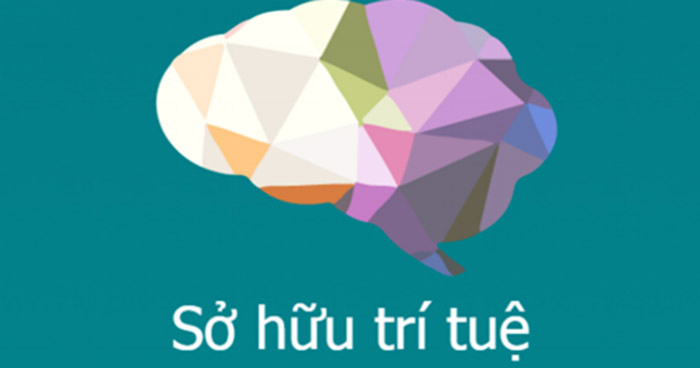 Sở hữu trí tuệ là gì?
