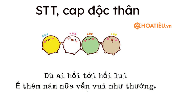 STT, cap độc thân hay