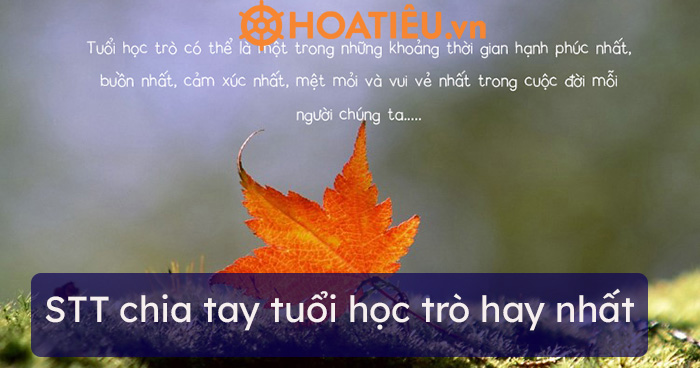 STT chia tay tuổi học trò hay nhất