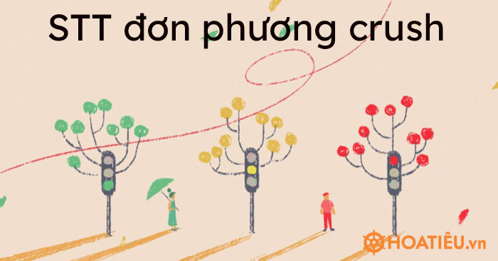 STT khi crush có người yêu
