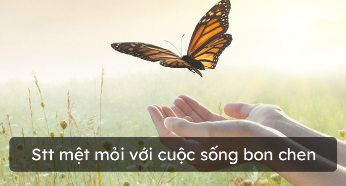 Stt mệt mỏi với cuộc sống bon chen