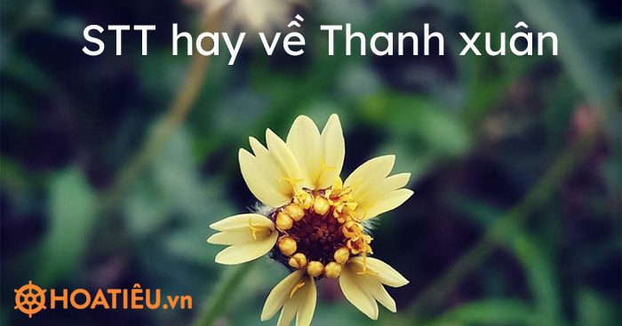 STT, Cap hay về thanh xuân