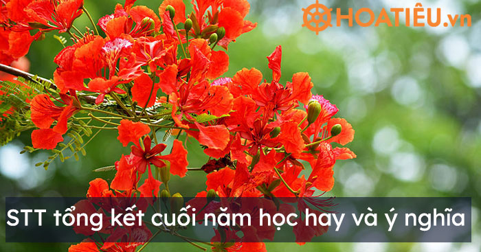 STT tổng kết cuối năm học hay và ý nghĩa