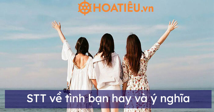 STT về tình bạn hay và ý nghĩa