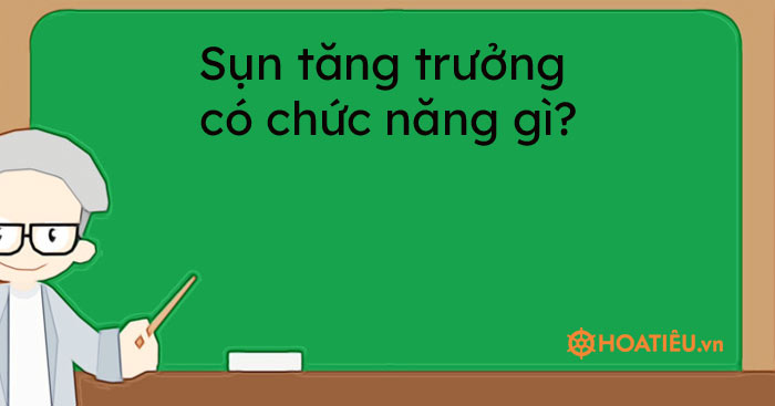 Sụn tăng trưởng có chức năng gì?
