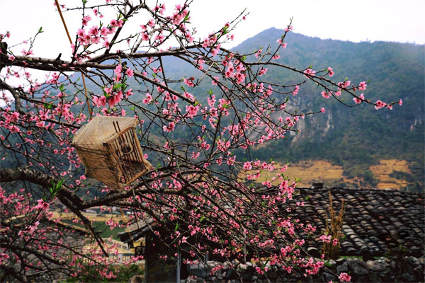 Tháng Giêng