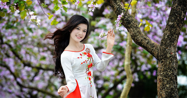 Thể lệ Cuộc thi “Tìm hiểu lịch sử quan hệ đặc biệt Việt Nam – Lào năm 2017”