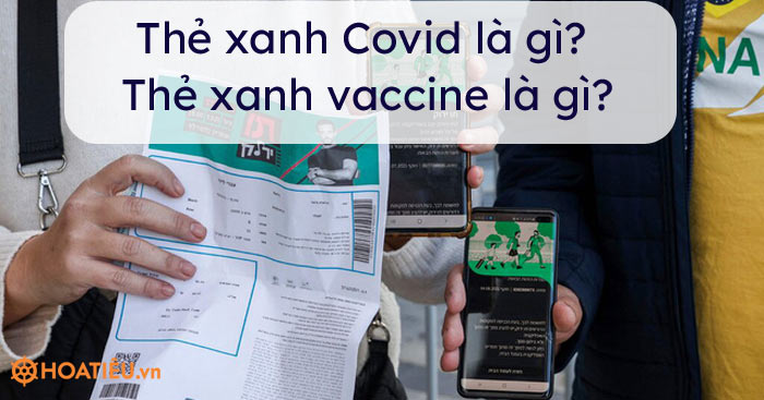 Thẻ xanh Covid là gì? Thẻ xanh vaccine là gì?