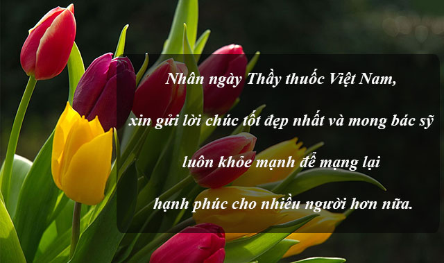 Thiệp mừng ngày thầy thuốc Việt Nam