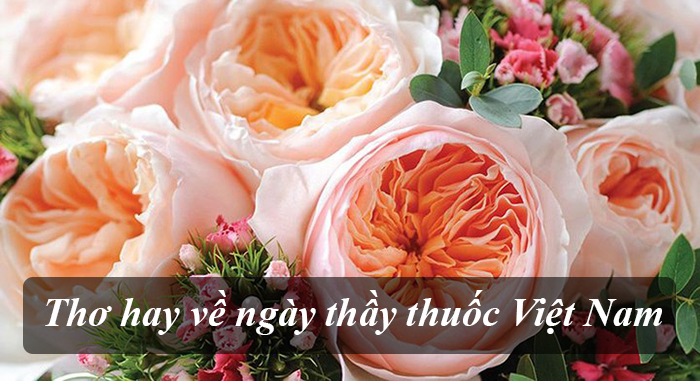 Thơ hay về ngày thầy thuốc Việt Nam