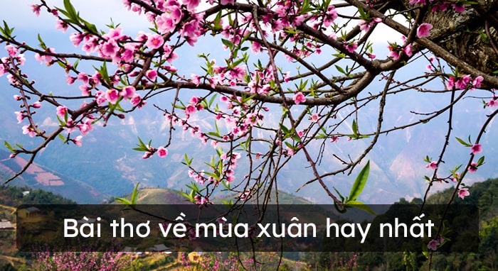Những bài thơ về mùa xuân hay nhất
