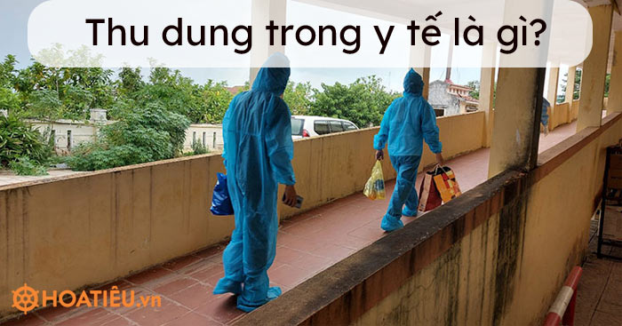 Thu dung trong y tế là gì?