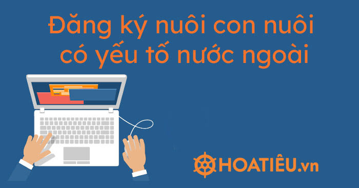 Thủ tục đăng ký việc nuôi con nuôi có yếu tố n­ước ngoài