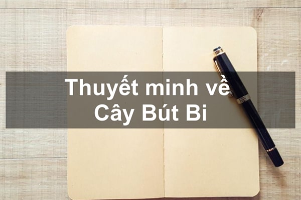 Thuyết minh về cây bút bi