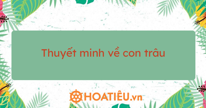 Top 8 bài thuyết minh về con trâu siêu hay