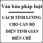 Cách tính lương cho cán bộ diện tinh giản biên chế mới nhất