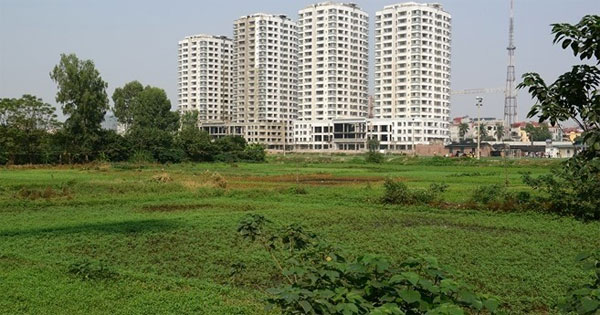 Mẫu tờ khai hiện trạng sử dụng nhà, đất thuộc sở hữu nhà nước và đề xuất phương án xử lý