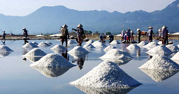Chính sách hỗ trợ ngành công nghiệp sản xuất muối