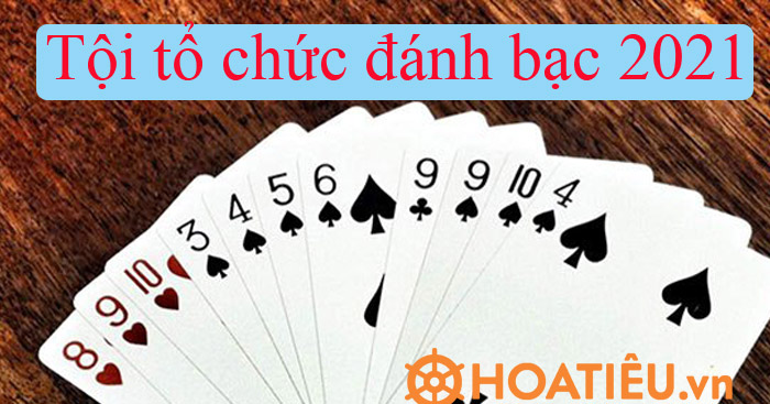 Tội tổ chức đánh bạc 2021