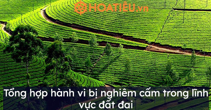 Tổng hợp hành vi bị nghiêm cấm trong lĩnh vực đất đai