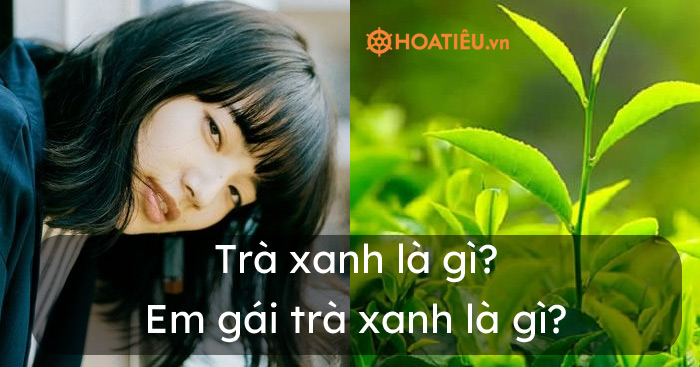 Trà xanh có nghĩa là gì? Em gái trà xanh nghĩa là gì?