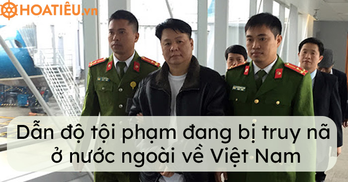Trốn truy nã ở nước ngoài, nếu bắt được dẫn độ về Việt Nam ra sao?