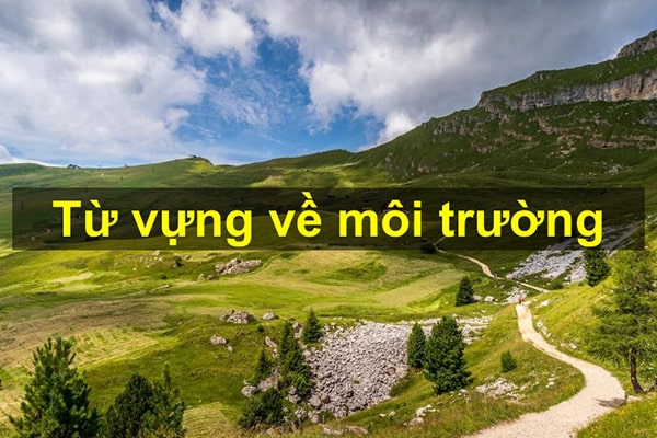 Từ vựng về môi trường trong Tiếng Anh