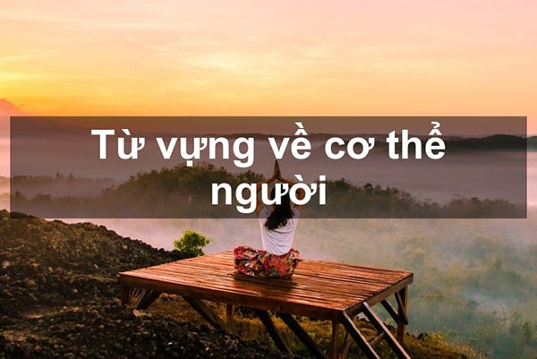 Từ vựng về cơ thể người