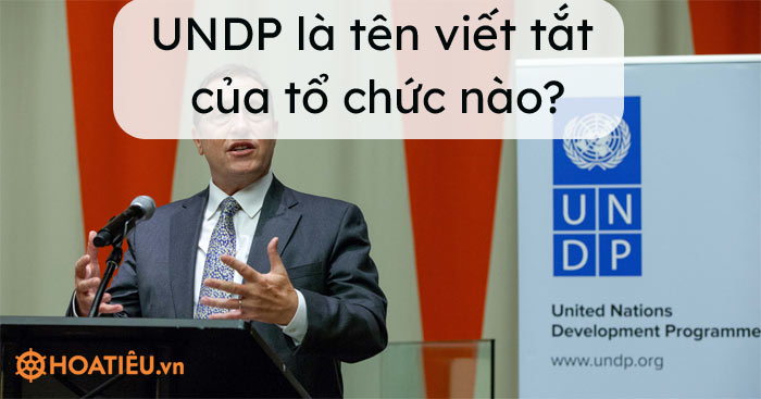 UNDP là tên viết tắt của tổ chức nào?