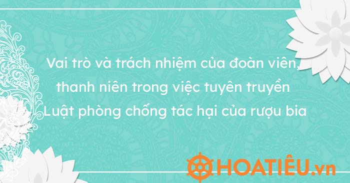 Vai trò và trách nhiệm của đoàn viên, thanh niên trong việc tuyên truyền Luật phòng chống tác hại của rượu bia