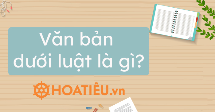 Văn bản dưới luật là gì?