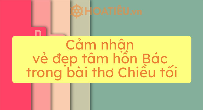 Top 3 bài cảm nhận vẻ đẹp tâm hồn Bác trong bài thơ Chiều tối