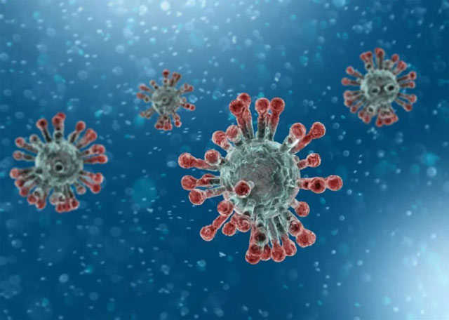 Kí sinh nội bào bắt buộc của virus là gì?